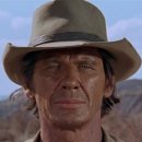 [서부] 하모니카 이미지