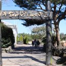 여행자플랫폼 | 가족 여행자를 위한 제주렌트카 선택 기준, 지금 정확하게 정리해드립니다!