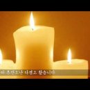 바람의딸 -유성주 이미지