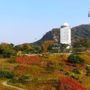남산 이미지
