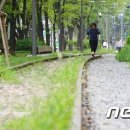 시민의숲산책로1-11 이미지