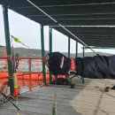 영목수산좌대 | 영목항 바다좌대낚시터 영목수산좌대낚시에서 학꽁치,우럭,쭈꾸미 낚시하고 왔어욤~~
