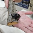 여주곤충박물관 이미지