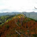 지리산에서의 하루 이미지