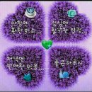 청양친환경블루베리농장
