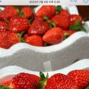 원희농장 이미지