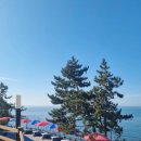 부안 짱아 이미지