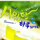 잠동 Daum카페