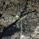 요리미치훈
