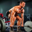 인생 핏 이미지