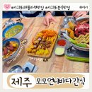 서신동-05(올레핸드폰매장앞) | 제주 서귀포 신화월드 근처 애견동반 분식 맛집 모모언니바다간식