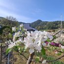 선학농장 이미지