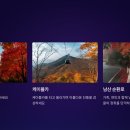 청계천카랜드 이미지