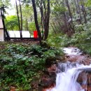 곰배령 벨리 이미지