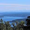 12/06/25 Cougar Mountain ( Sky Country Trailhead ) 이미지