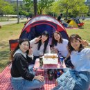 반포한강텐트대여 낭만소풍피크닉 네이버블로그