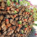 숭덕재활원 이미지