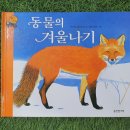 원리가 보이는 과학실험 이미지