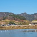 검산제 이미지