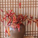 지리산 외갓집 이미지