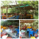 정 농원 이미지