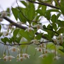 미리내캠프 이미지