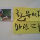 문화목장 이미지