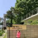 [설계사일상] 남한산성 계곡카페 개울테라스, 수원 근교 애견동반 물놀이 나들이 후기