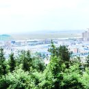 성지약품(주) 네이버블로그