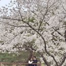 양수농원 이미지