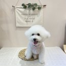 꾸꾸멈머 이미지