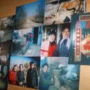 보라여관 이미지