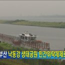 낙동강관리본부 대저생태공원 5 이미지