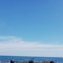 송라해송펜션