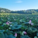 그때 그 펜션 이미지