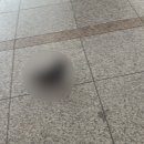 고속철PC방 이미지