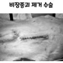 동탄원더스동물의료센터 이미지