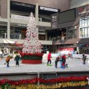 원마운트 이미지