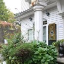 풀잎속의생명 이미지