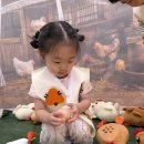 2026년 7월 복날데이 [복날이닭] 이미지