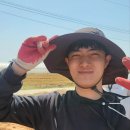 뜨렌비 Daum카페