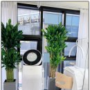 네일지아 이미지