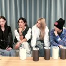 애니