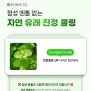 청명광고 - 완도군 청해진남로 37 | 청명/쾌청이라는 단어가 어울리는 샴푸 -프루티드 그린클렌징 케일샴푸 내돈내산 2개월 사용후기
