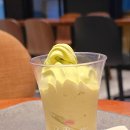 커피사피엔스여의도국회대로점 | 폴바셋 제주 말차 녹차 아이스크림 여름 한정 메뉴 솔직후기 여의도 국회대로점