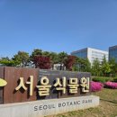 마곡온약국