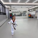 푸르미르 태권도장 이미지