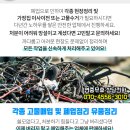 씨드랜드프라자 네이버블로그
