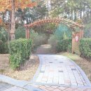 중흥제일공인중개사사무소 이미지