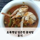 초록햇살 얼큰한 꽃게탕 밀키트 후기